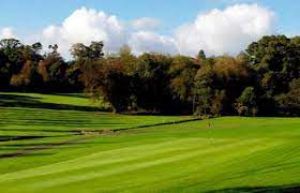 Golf @ Manor House Country Hotel